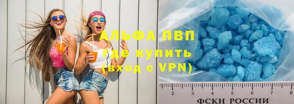 индика Михайловск