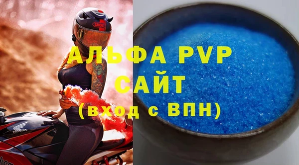 индика Михайловск
