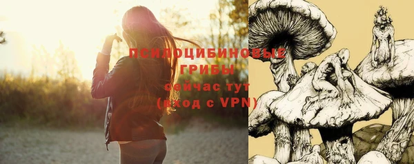 apvp Михайловка