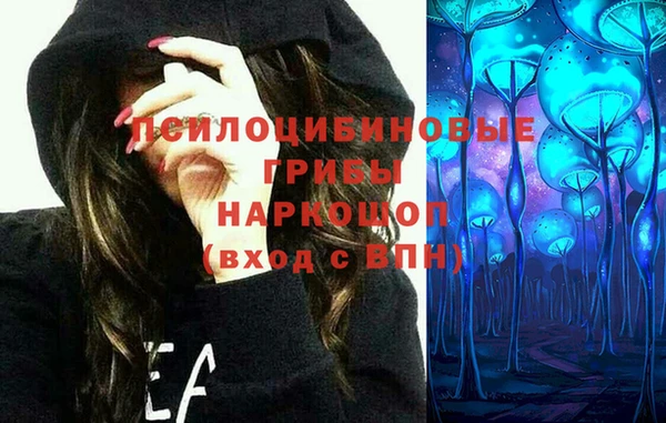 индика Дмитриев