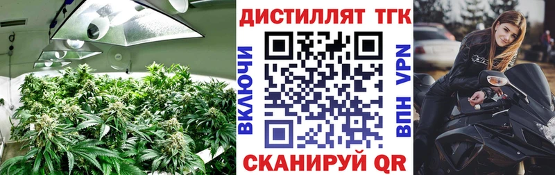 закладки Лянтор ТГК вейп с тгк