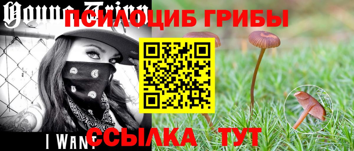 Галлюциногенные грибы Psilocybe  Вход с VPN  Лянтор 