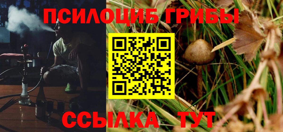 Псилоцибиновые грибы GOLDEN TEACHER Лянтор